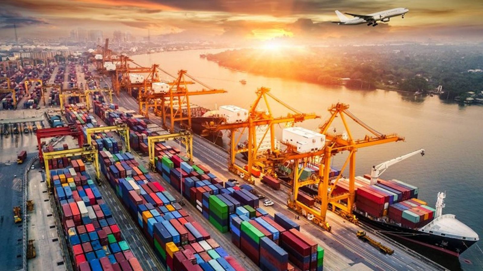 Logistics and transport coordination by Shyam Industries